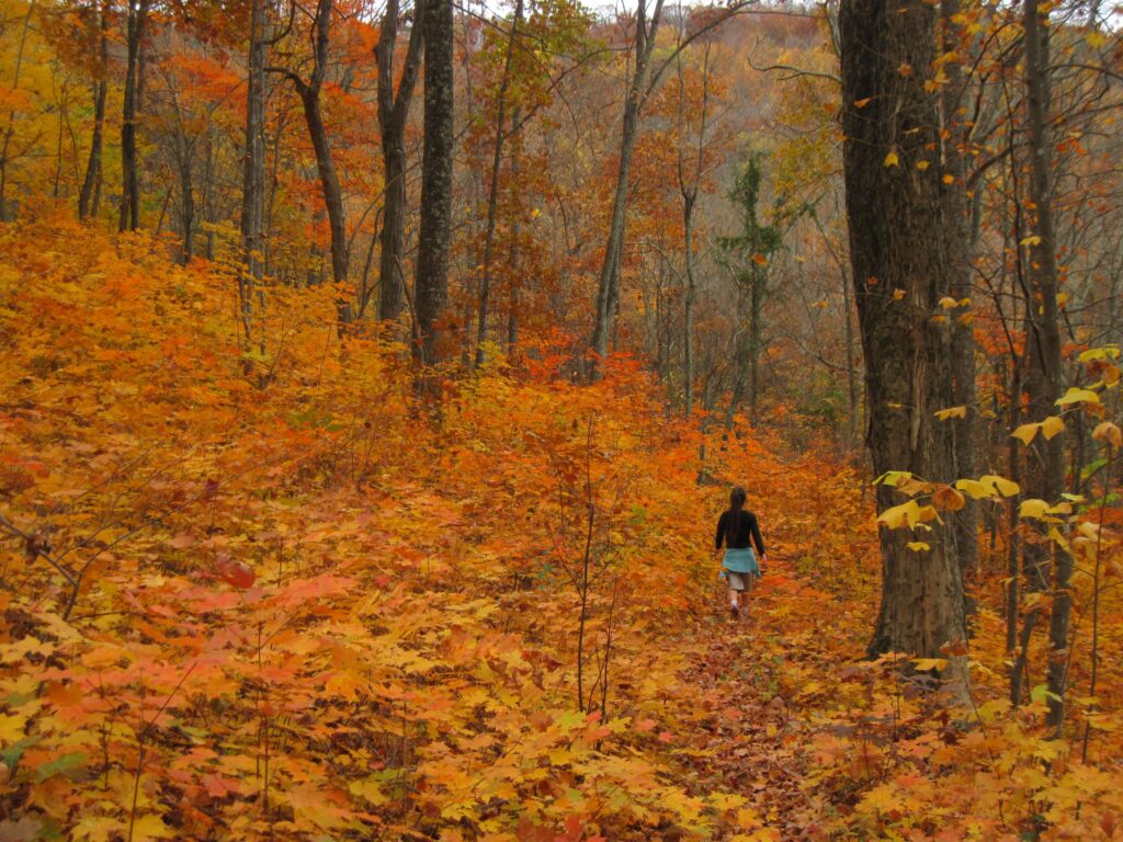 Too Much Air Too Much Light Too Much Water